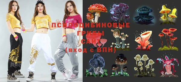 а пвп мука Болотное