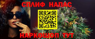 apvp Гусиноозёрск