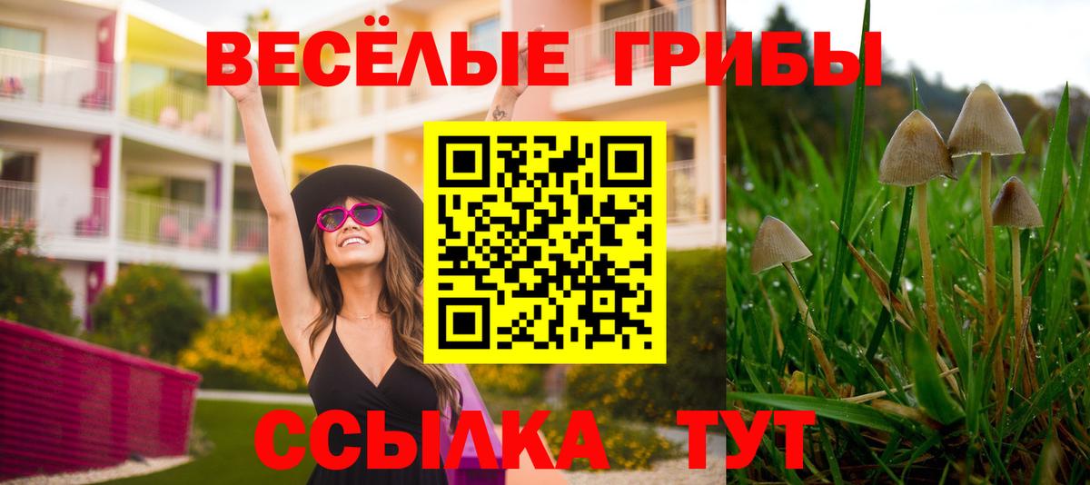 Нововоронеж  даркнет сайт  Вход с VPN  Галлюциногенные грибы прущие грибы 